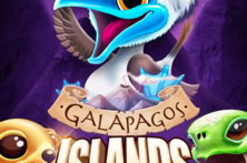 Galapagos Island