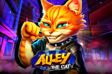 Alley the Cat