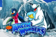 Arctic Wonders