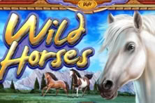 Wild Horses