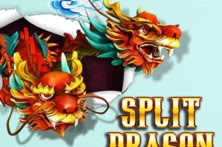 Split Dragon