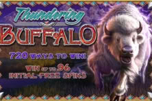 Thundering Buffalo