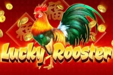 Lucky Rooster