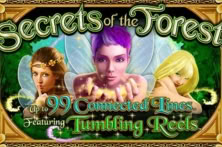 Secrets of the Forest