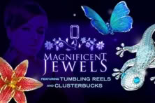 Magnificent Jewels