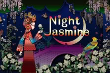 Night Jasmine