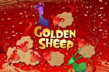 Golden Sheep