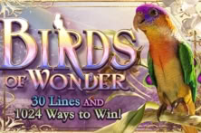 Birds of Wonder