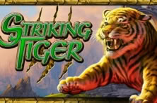 Striking Tiger