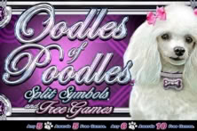 Oodles of Poodles