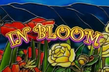 In Bloom