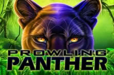 Prowling Panther