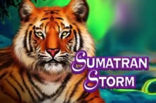 Sumatran Storm