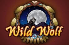 Wild Wolf