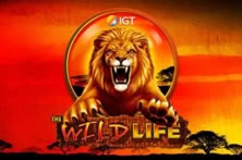 The Wild Life (EVA)