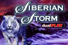Siberian Storm Dual Play