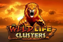The Wild Life Clusters