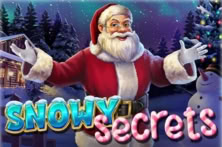 Snowy Secrets