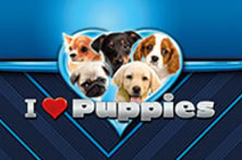 I Heart Puppies