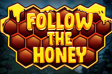 Follow the Honey