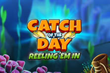Catch of the Day Reeling Em In