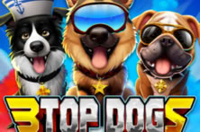 3 Top Dogs