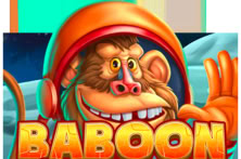 Baboon to the Moon
