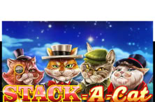 Stack a Cat