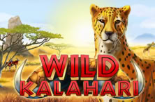 Wild Kalahari