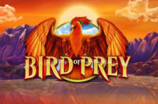 Bird of Prey