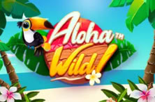 Aloha Wild!