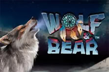 Wolf & Bear