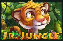 JR Jungle