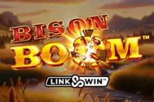 Bison Boom