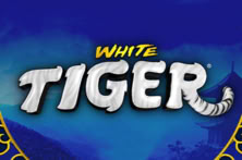 White Tiger
