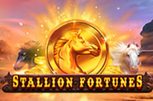 Stallion Fortunes