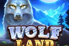 Wolf Land: Hold and Win