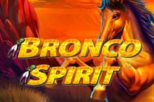 Bronco Spirit™