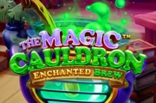 The Magic Cauldron – Enchanted Brew™