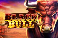 Black Bull