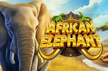 African Elephant™
