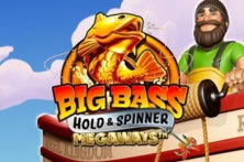 Big Bass Hold & Spinner Megaways™