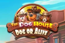 The Dog House – Dog or Alive