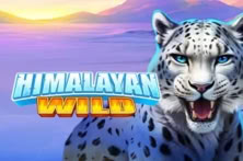 Himalayan Wild