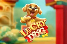 Lucky Dog