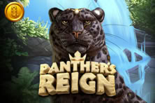 Panther's Reign
