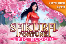 Sakura Fortune Epic Bloom