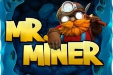 Mr. Miner
