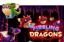 Fireling Dragons