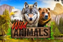 Wild Animals